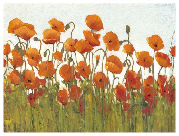 Rows of Poppies II