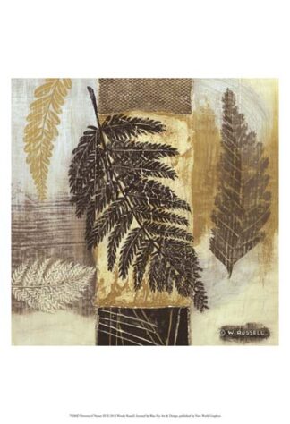 Patterns of Nature III