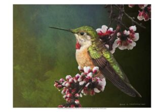 Hummer with Blossoms