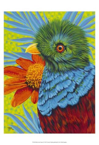 Bird in the Tropics II