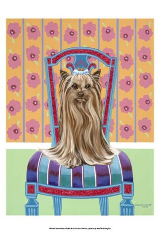 Crown Princess Yorkie
