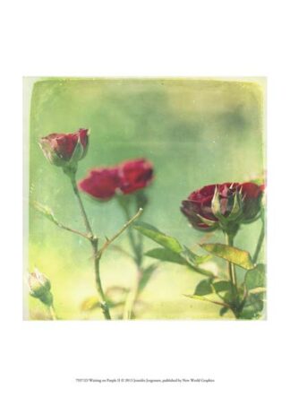 Waiting on Purple II