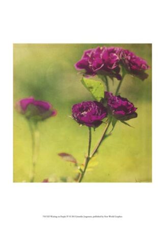 Waiting on Purple IV