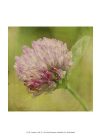 Waiting on Purple VII