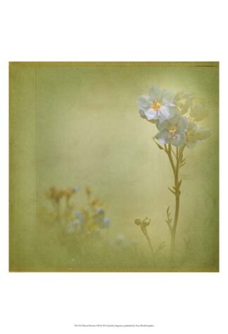 Filtered Dreams VIII