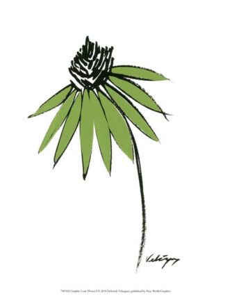 Graphic Cone Flower I