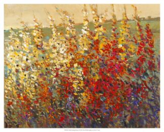 Field of Spring Flowers I