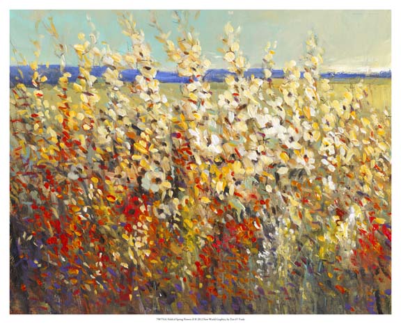 Field of Spring Flowers II