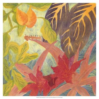 Tropical Monotype IV