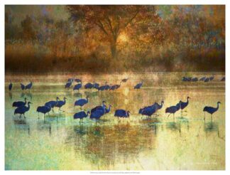 Cranes in Mist II