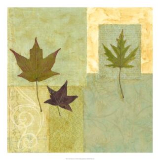 Earth Elements I ***