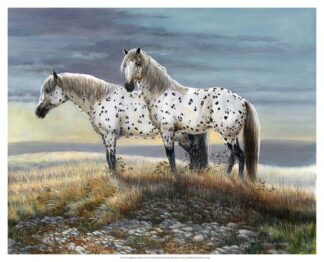 Appaloosa Sundown