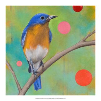 Mysteries of the Universe I