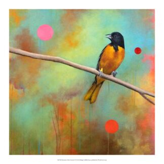 Mysteries of the Universe II