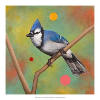 Mysteries of the Universe VI