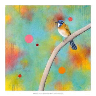 Mysteries of the Universe VIII