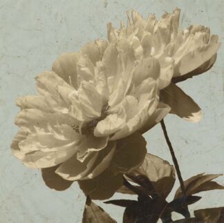 Antiqued Floral & Sky I