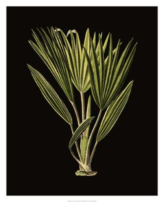 Green Leaves on Black V