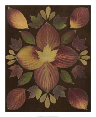 Kaleidoscope Leaves V