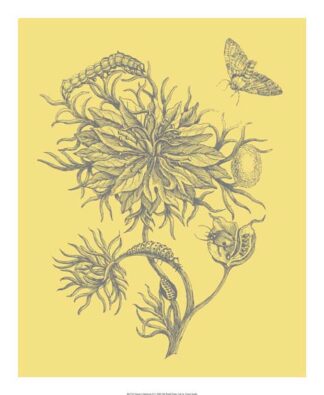 Nature's Optimism II