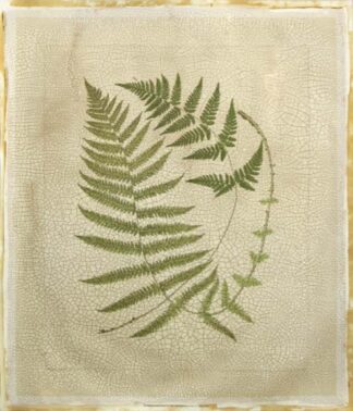 Crackled Ferns I