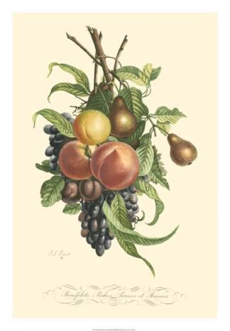 Plentiful Fruits I