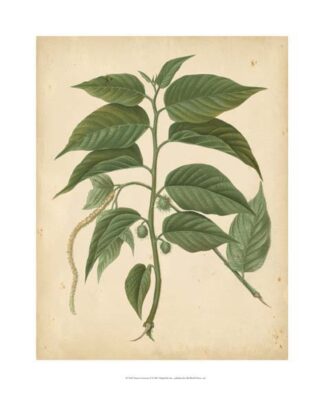 Nature's Greenery II