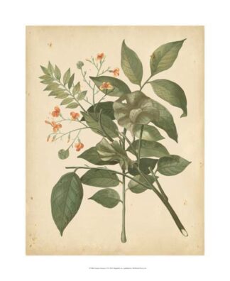 Nature's Greenery VI