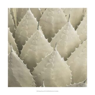 Organic Elements VII