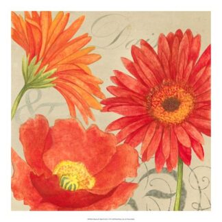 Daisies & Tulips II