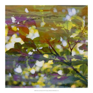 Abstract Leaf Study II