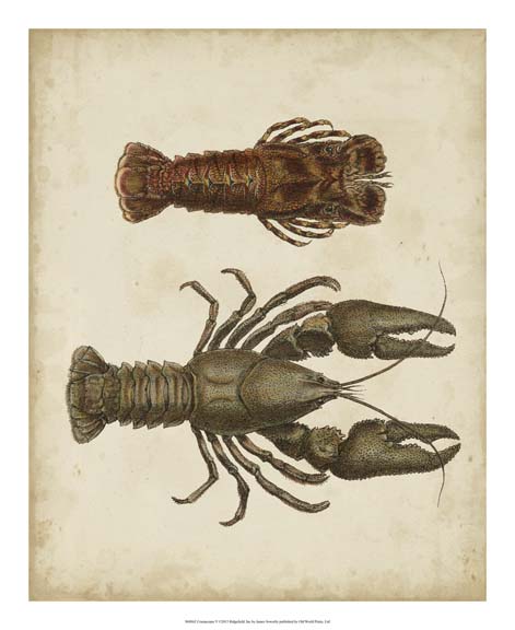 Crustaceans V
