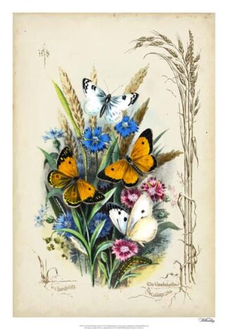 Victorian Butterfly Garden I