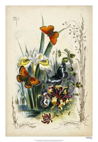 Victorian Butterfly Garden II