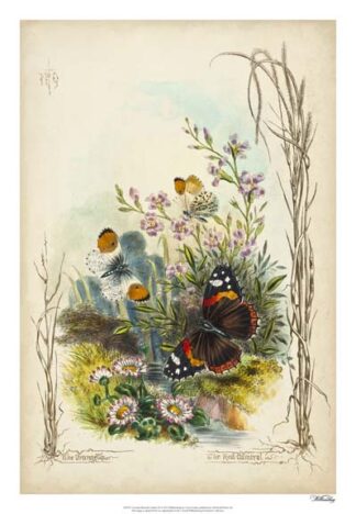 Victorian Butterfly Garden IX