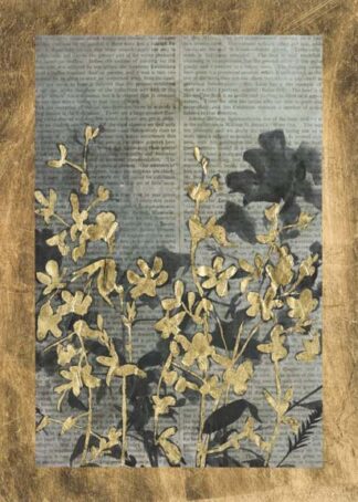 Moonlit Flower Field II