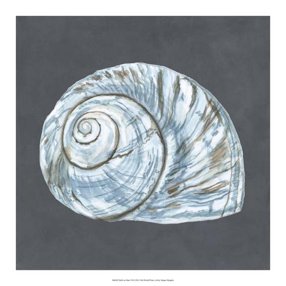 Shell on Slate VIII