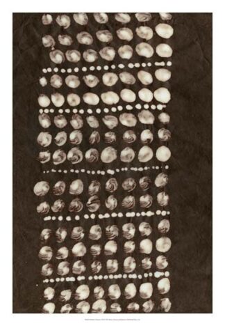 Primitive Patterns VIII