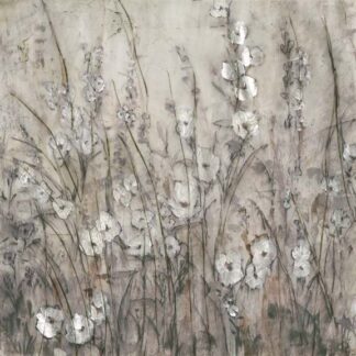 Embellished Shadows I