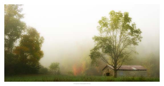 Fog at the Farm