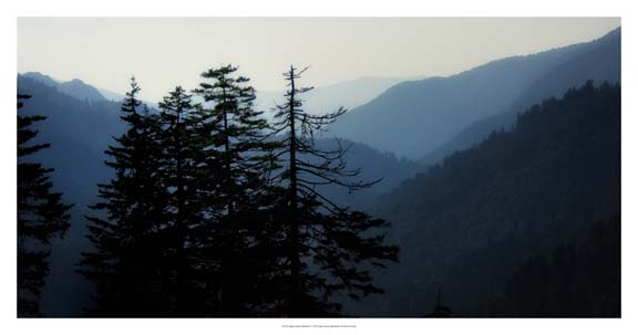 High Country Silhouette I