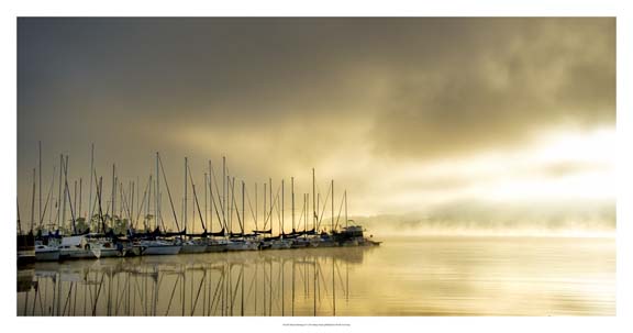 Marina Morning II