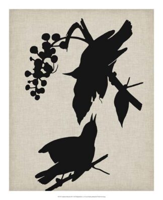 Audubon Silhouette III