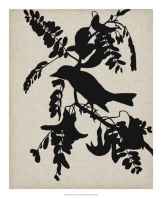 Audubon Silhouette V