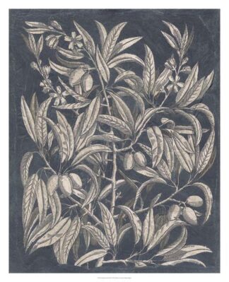 Vintage Fruit & Floral I