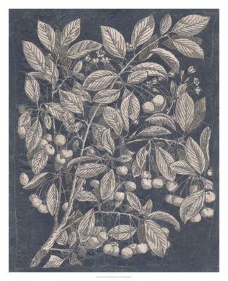 Vintage Fruit & Floral III