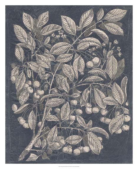 Vintage Fruit & Floral III