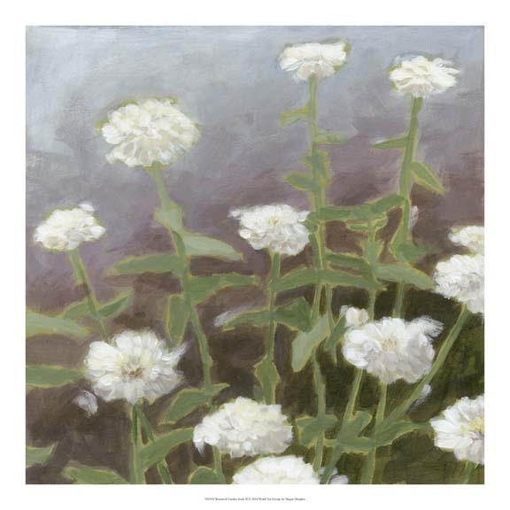 Botanical Garden Study II