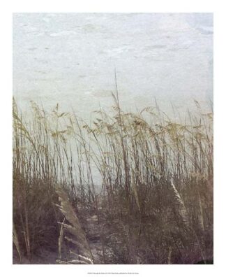 Through the Dunes II