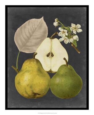 Midnight Harvest III